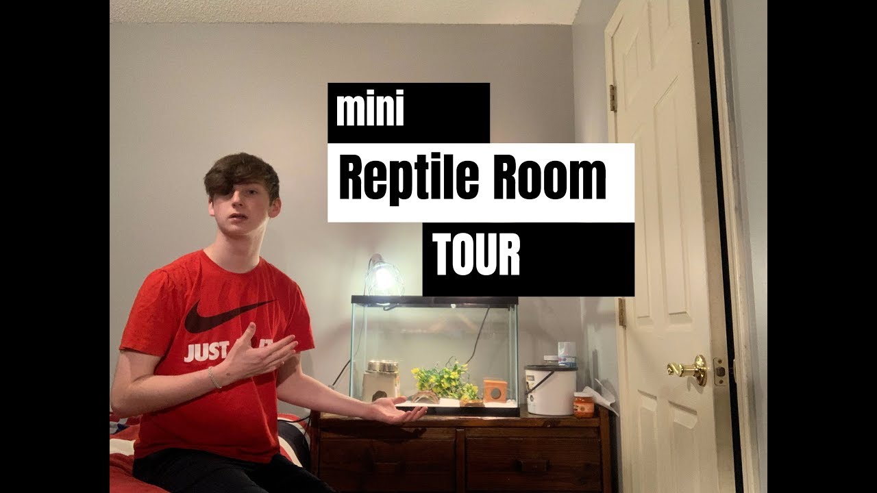 NEW *MINI* REPTILE ROOM TOUR (reptiles & small animals)