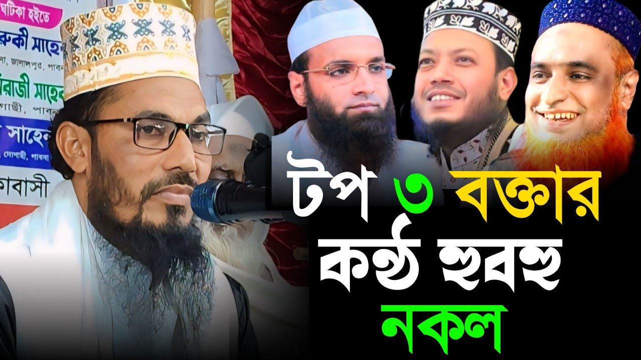 টপ ৩ বক্তার কন্ঠ হুবহু নকল | শাহাদাত হোসেন বারী ওয়াজ | Shahadat Hossain bari natore | Habib Media