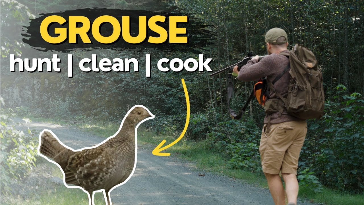 ASMR Hunts: Grouse Catch, Clean & Cook