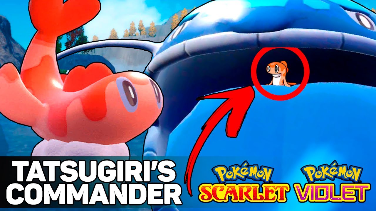 NÃO SEPARE ESSES 2 POKÉMON!! Como DONDOZO e TATSUGIRI juntos REVOLUCIONARAM Gen9?? VGC 2023 Series 1