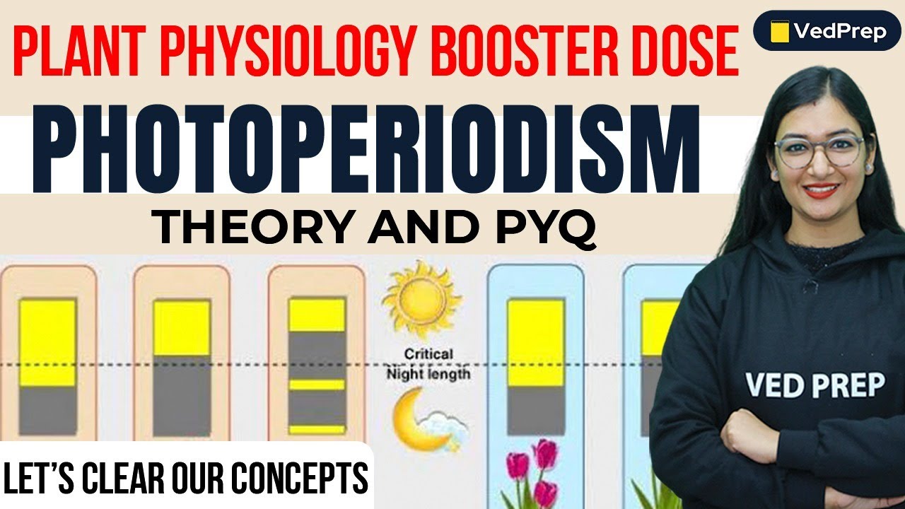 Photoperiodism Plant Physiology PYQ | Theory | Booster Dose | VedPrep Biology Academy