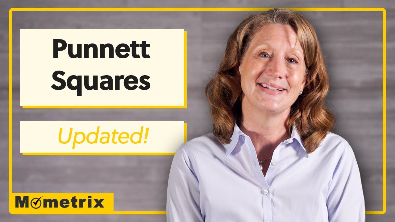 What is a Punnett Square? (Updated!)