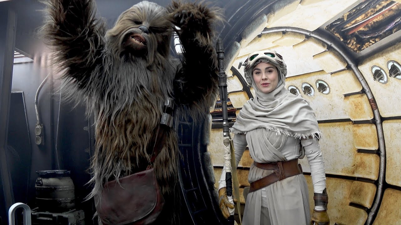 Disneyland Paris Rey and Chewbacca Meet and Greet