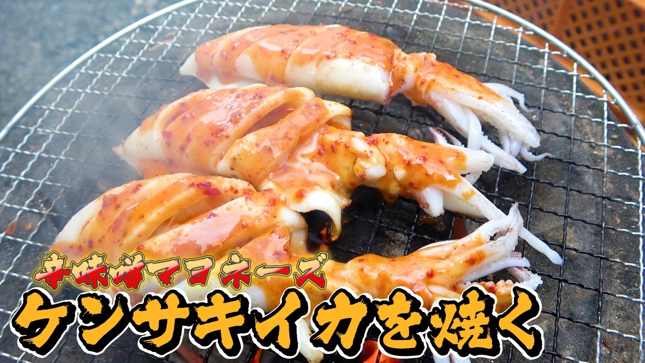【七輪で晩酌】ケンサキイカに味噌マヨをつけて食べたら美味し過ぎた！