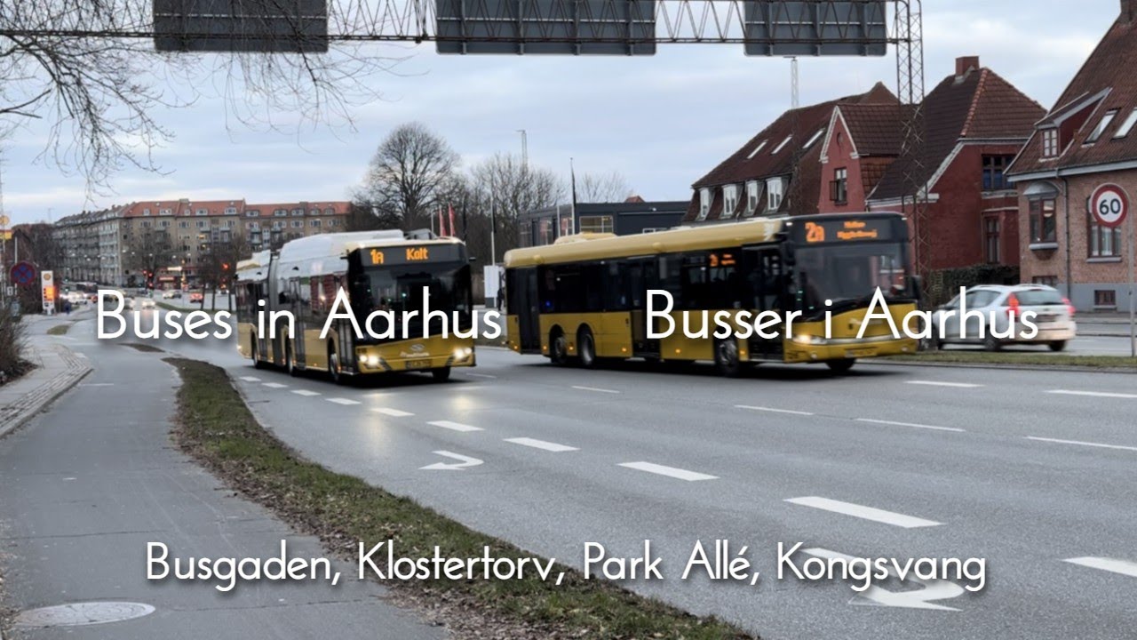 Buses in Aarhus | Busser i Aarhus (Busgaden, Klostertorv, Park Allé, Kongsvang)