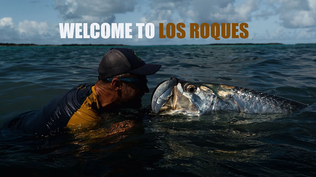 Welcome To Paradise l Fishing in Los Roques