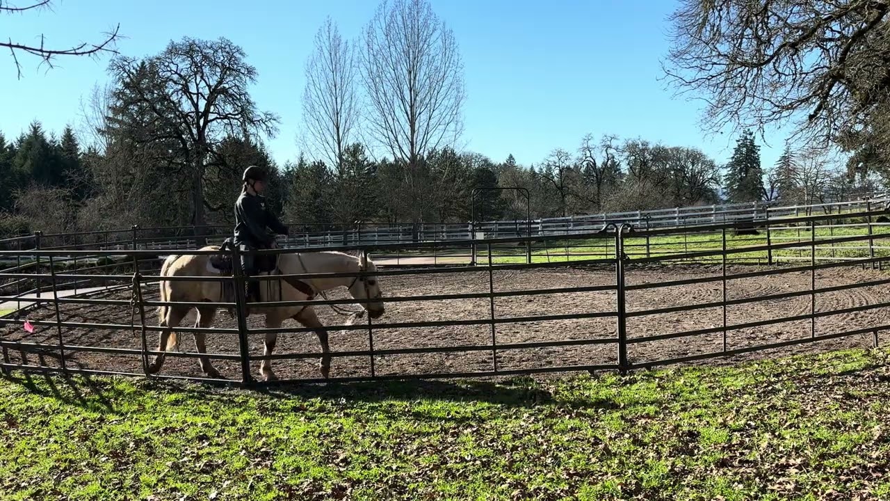 Drifter Ride 3 Part 3: Trotting and Distractions 