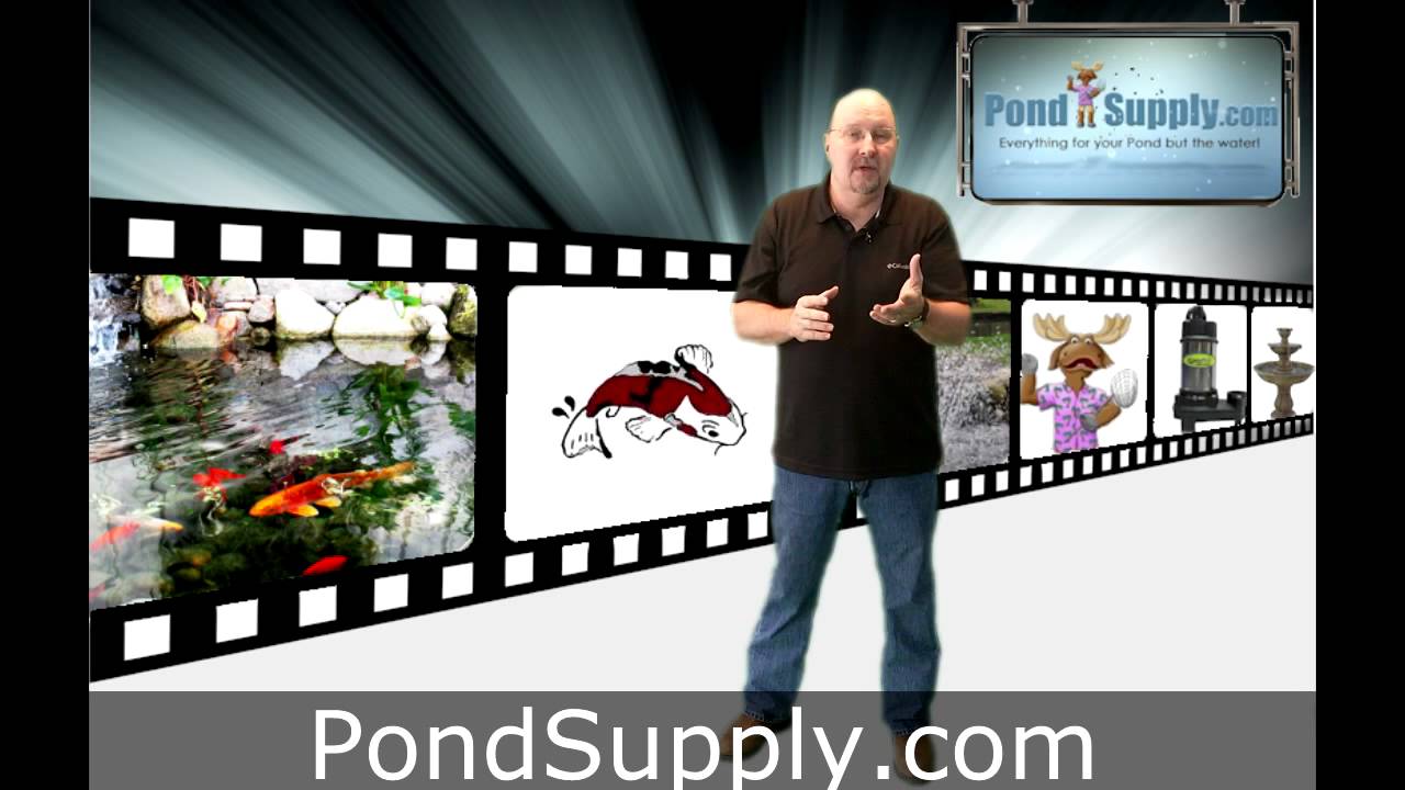 Should you put your pump on the bottom of the pond.