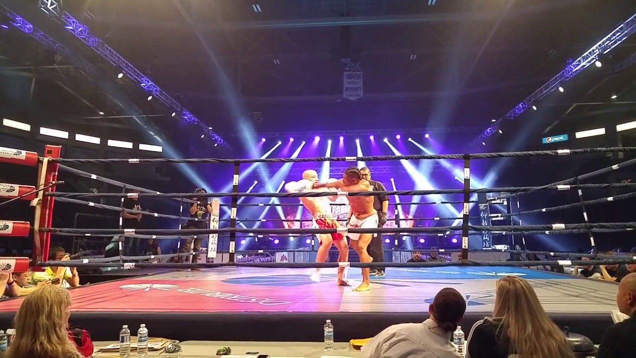 Wu Lin Feng Kickboxing | Aaron Wilson vs. Teshay Gouthro