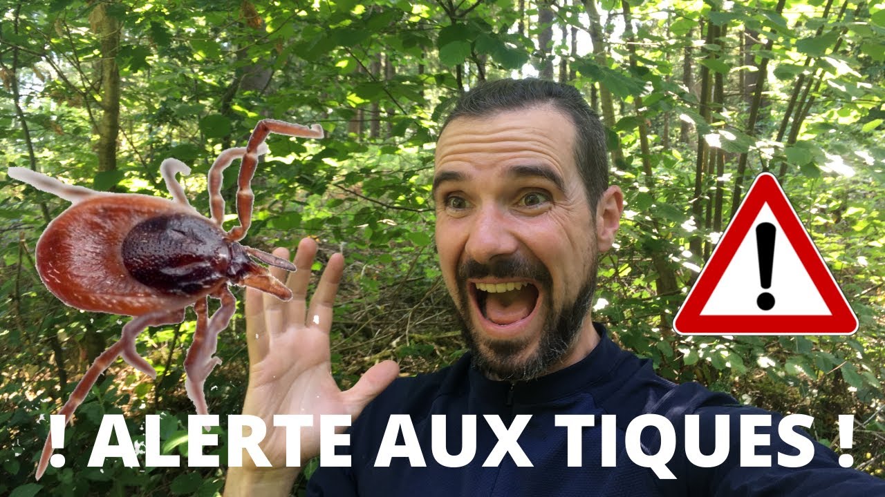 LES TIQUES : COMMENT SE PROTÉGER ?