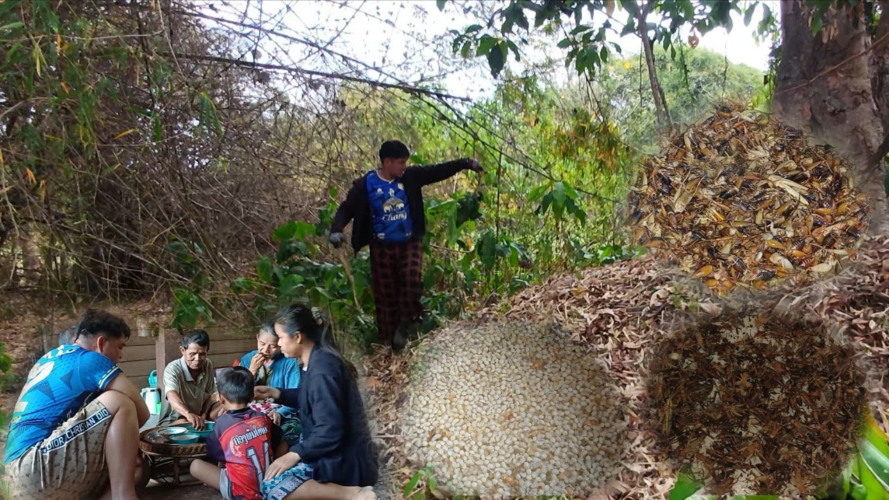 ขวจีนาย//ຂົວຈີນາຍ4 มีนาคม ค.ศ. 2026