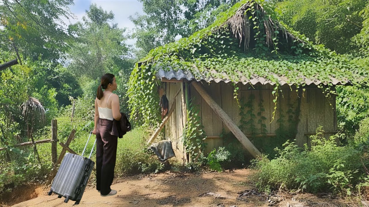 Time lapse 365 Days : Girl Returns to the Forest to Renovate Old House into a Dream Farm