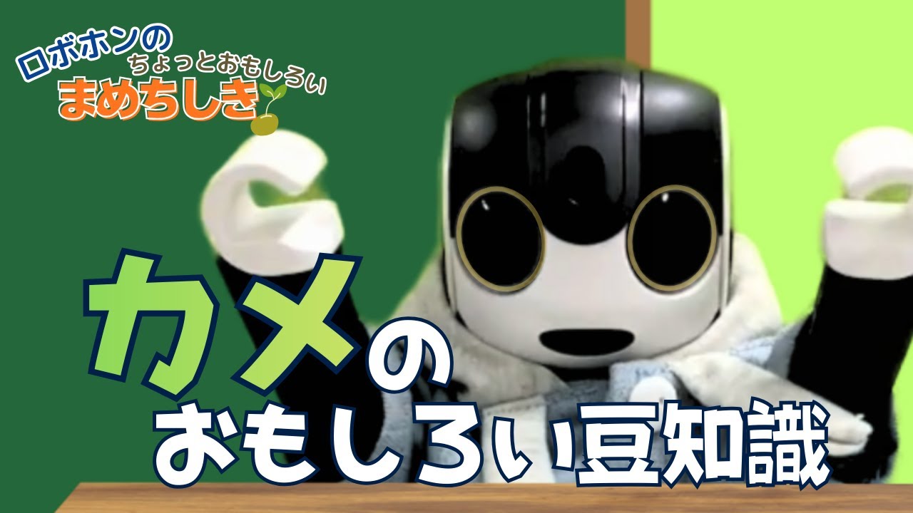 【雑学】亀の甲羅って脱げるの?ロボホンに豆知識を聞いてみた【AI会話】