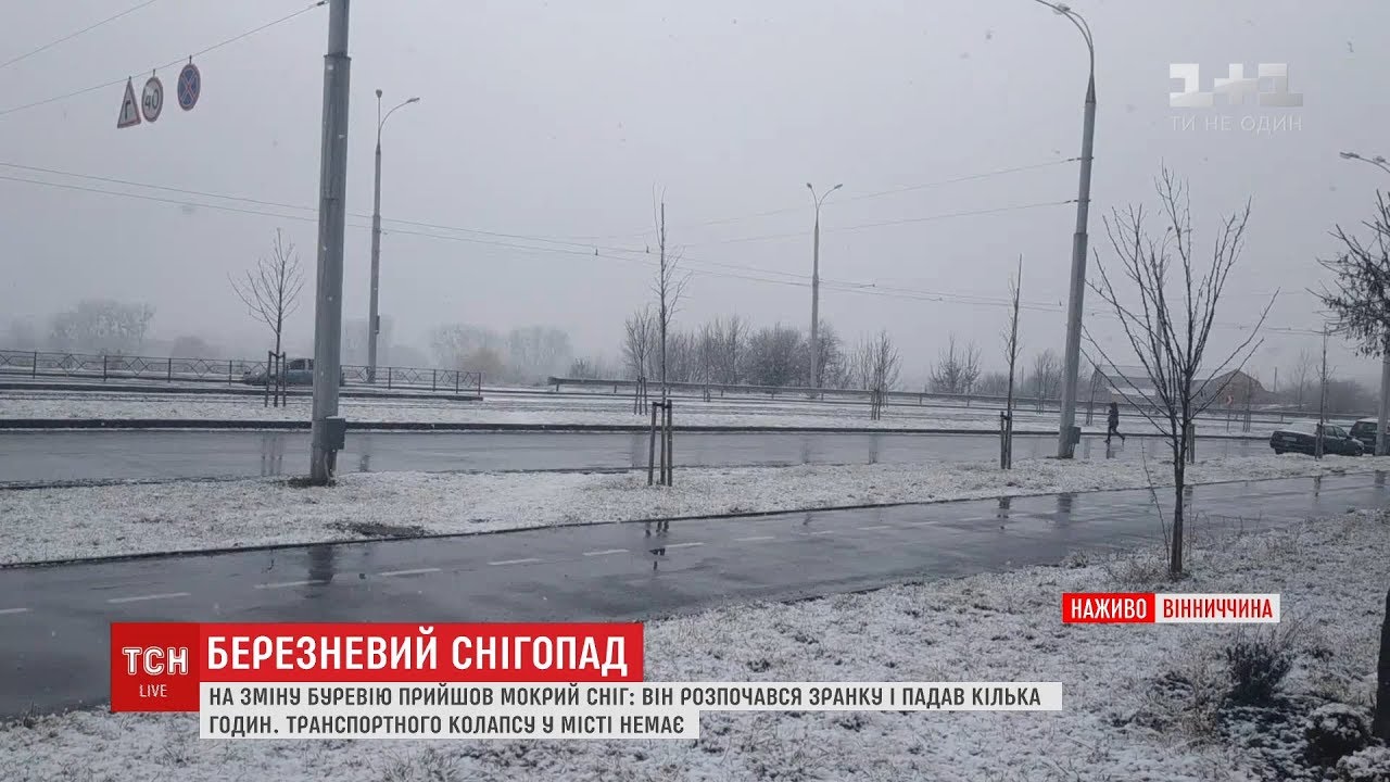 Вінницю після буревію засипало мокрим снігом