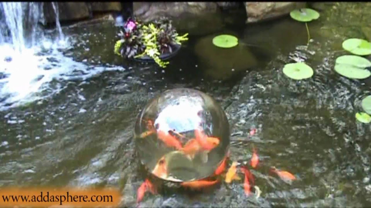 Aquatic Addasphere Installation Video