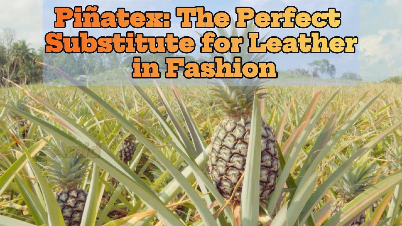 Pi&ntilde;atex: The Perfect Substitute for Leather in Fashion