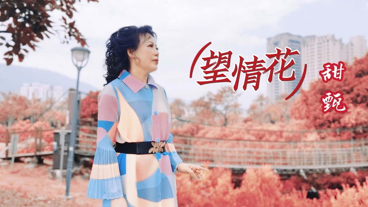 #望情花#甜甄 #2025台語流行金曲 #星豪唱片官方officialvideo