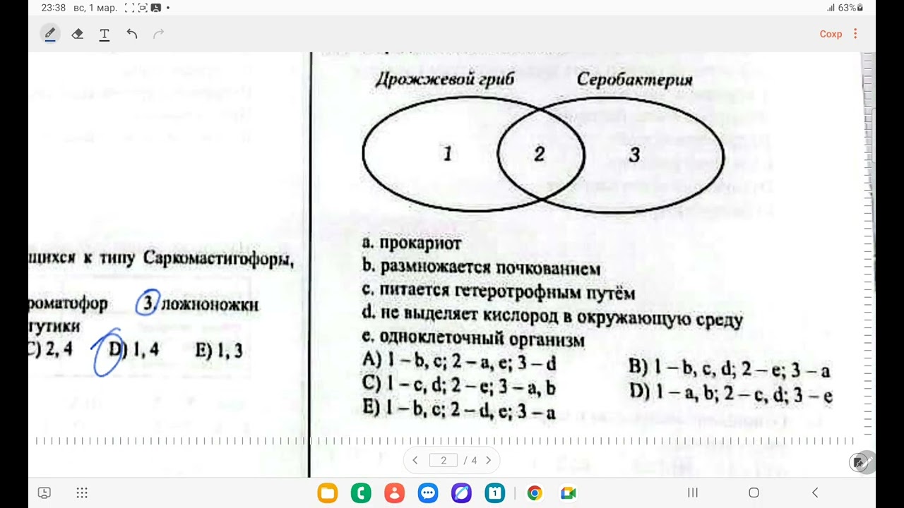 Испытательный экзамен/ гювен/ биология/ 10 класс/ 22.02.26/