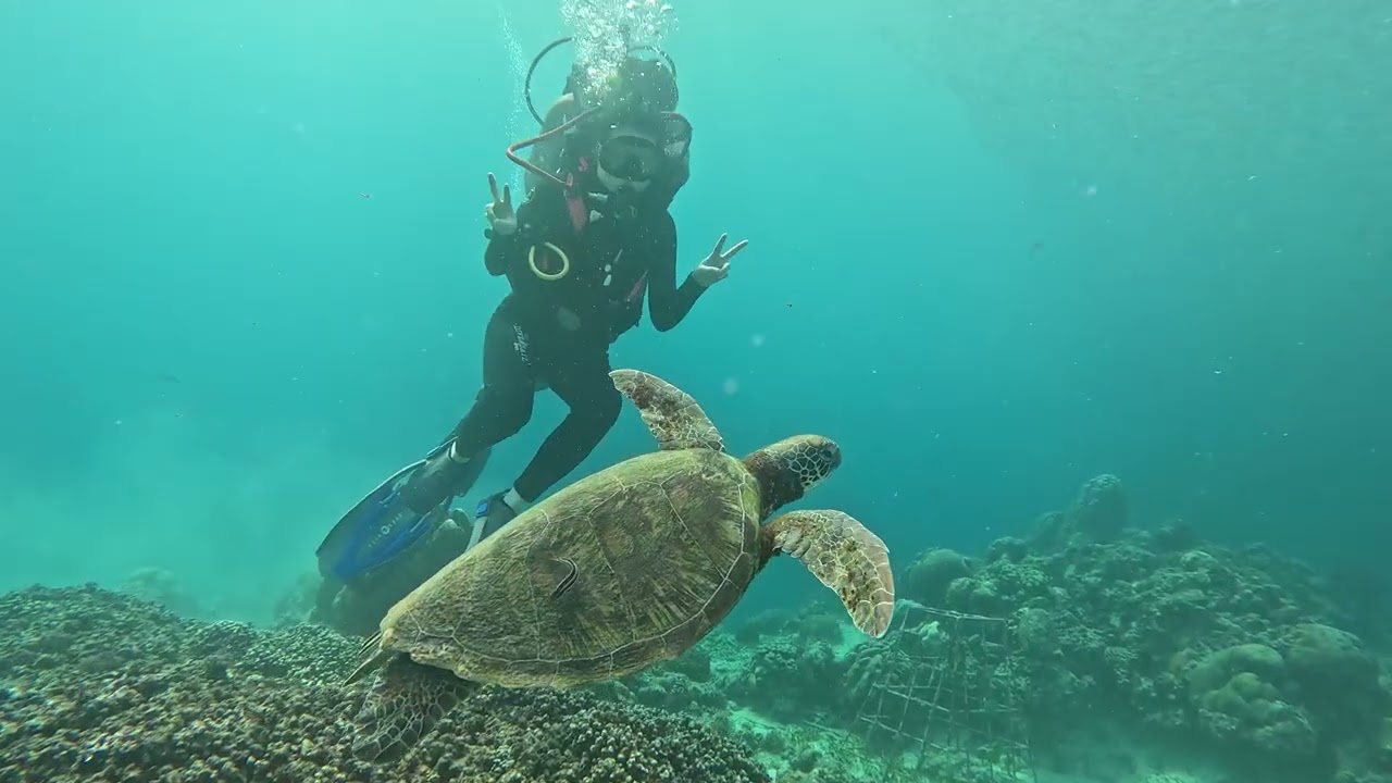 2026.02.28 04 DSD BEACH DIVESTORY MOALBOAL