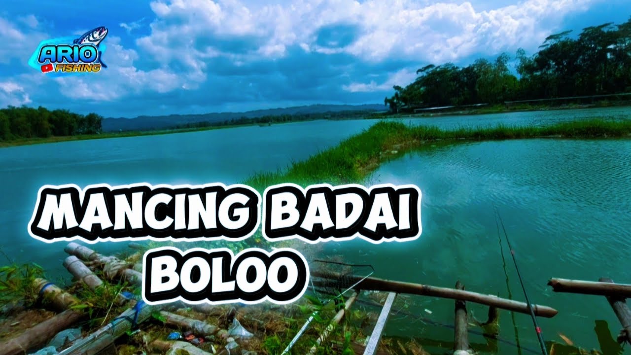 Lapak Galfalum Suko Sumbeepucung‼️ Waduk Karangkates Malang Jawa Timur Indonesia
