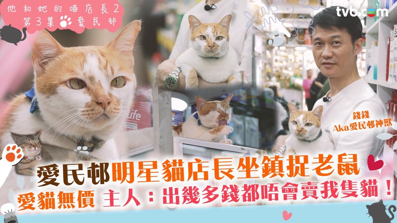 #他和她的喵店長2