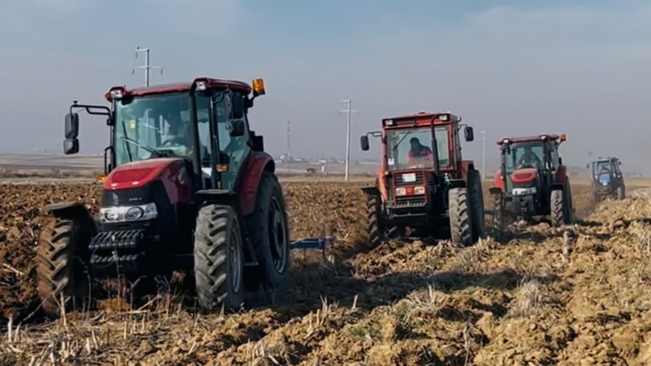8005 tümosan ve Case IH Jx100 ve Jx90,jx75 mısır yeri sürümü(Tarla Dayanmıyor)☝️