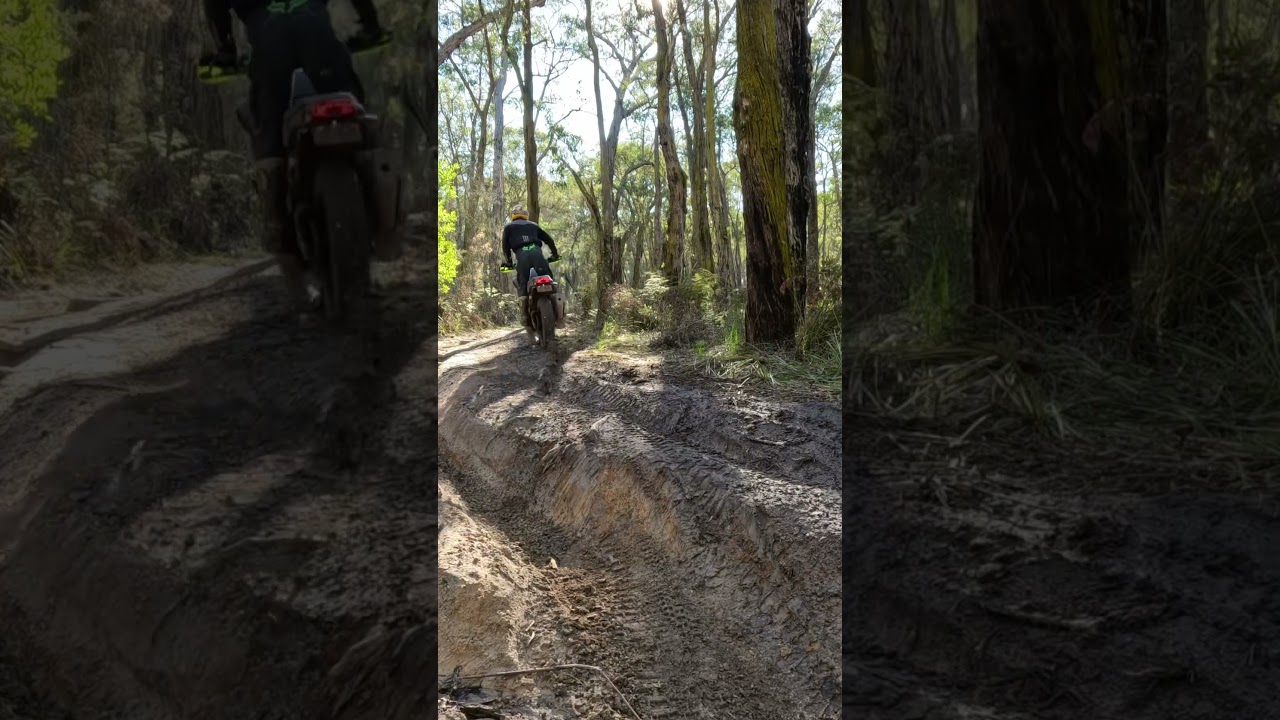 CFMOTO 450MT off-road #450mt #cfmoto #cfmoto450mt #adventuremotorcycle #adventurebike #advmoto