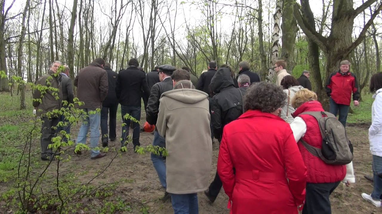 Impressionen aus der Arbeit von Helmut Dammann-Tamke und Kai Seefried