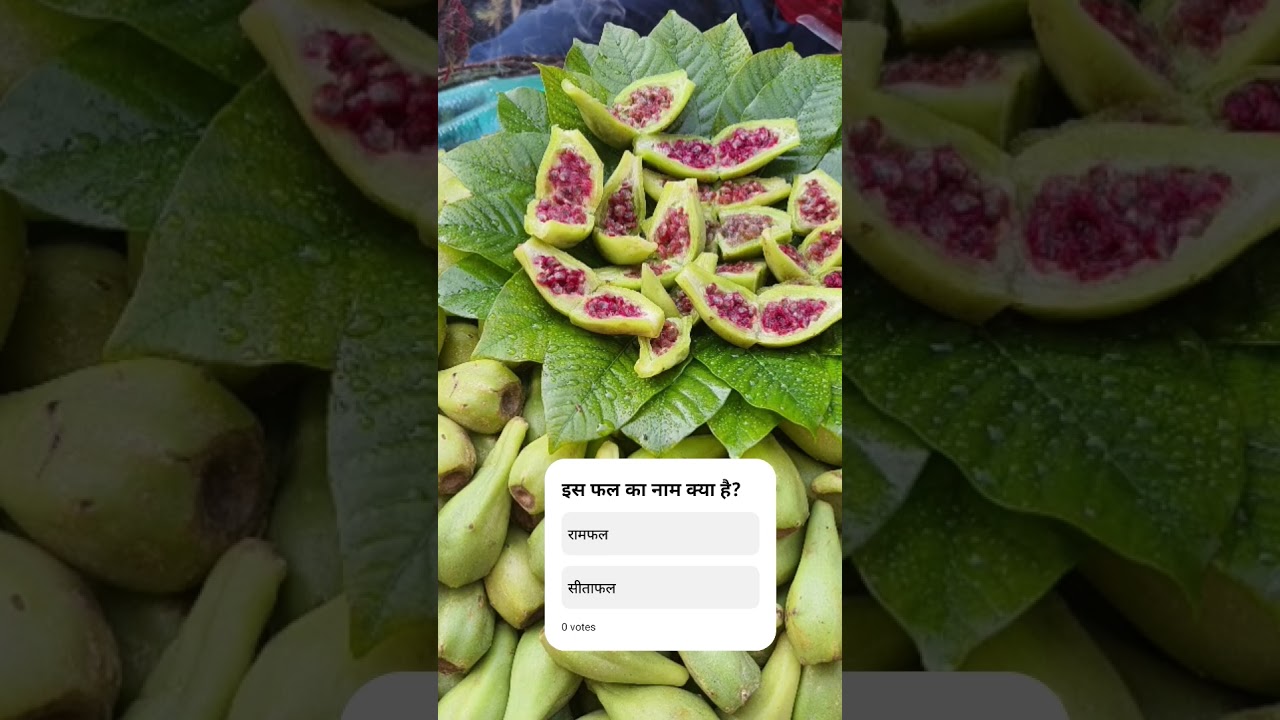 is fal ka nam batayen ???