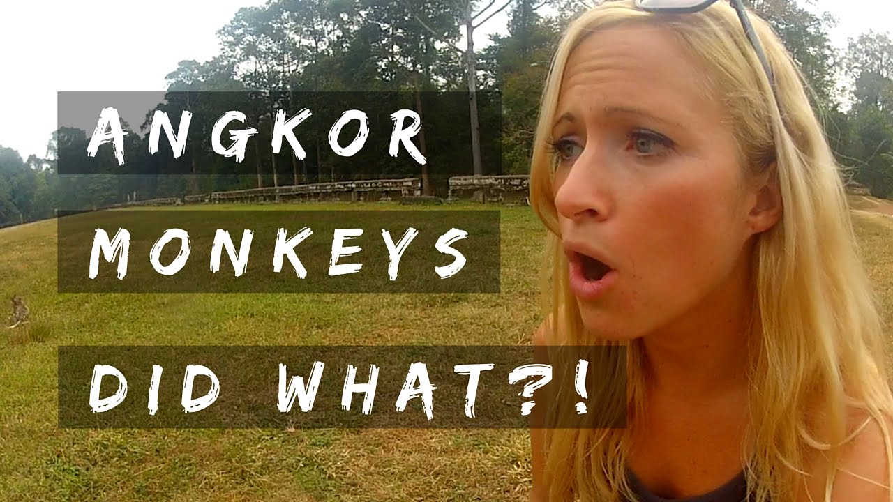 CRAZY ASS ANGKOR WAT MONKEYS | HOW TO TRAVEL THE WORLD ON $30 A DAY | Ep 40