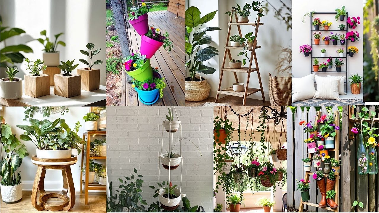 THE VERTICAL REVELATION: 6 Designer Secrets for a Breathtaking Living Wall