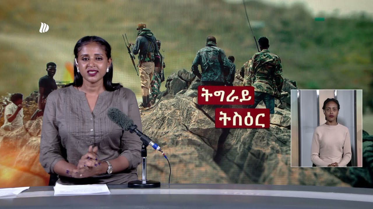 DW International ትግርኛ ዜና ሰዓት 12:30፣ ሕዳር 12/2014 ዓ/ም