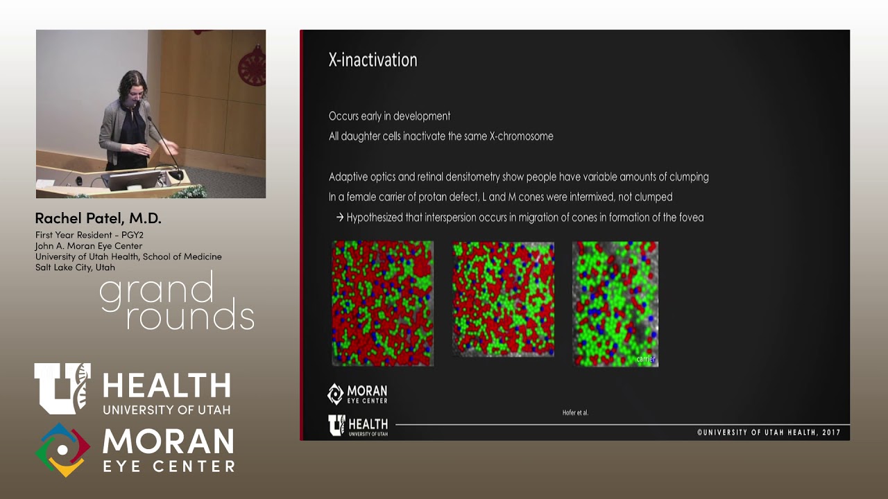 Seeing Red (and Green and Blue): The Evolution of Color Vision
