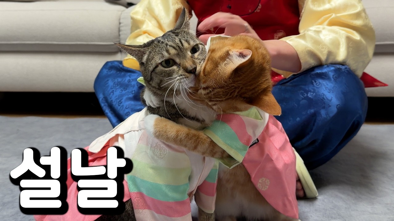 명절에 멱살잡이 하는 화목한 우리집
