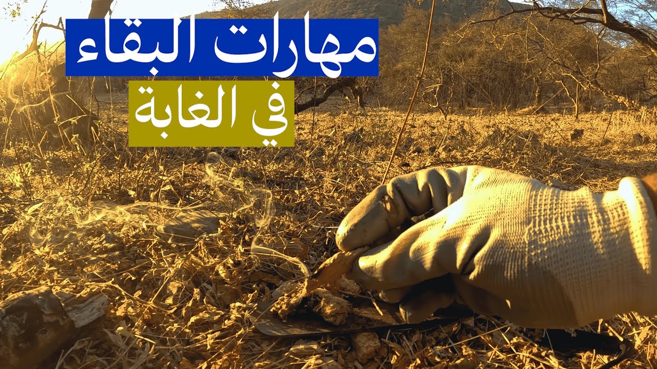 مهارات البقاء في البرية