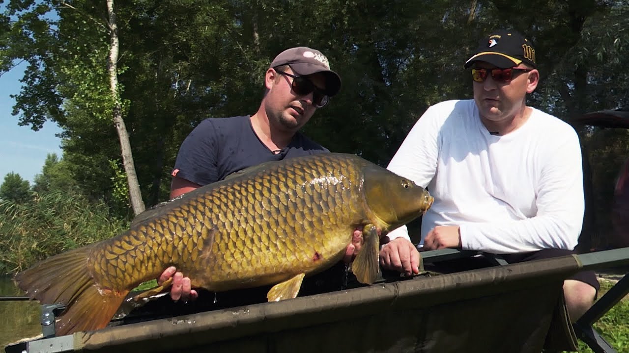 PELLET WAGGLER 1 RESZ