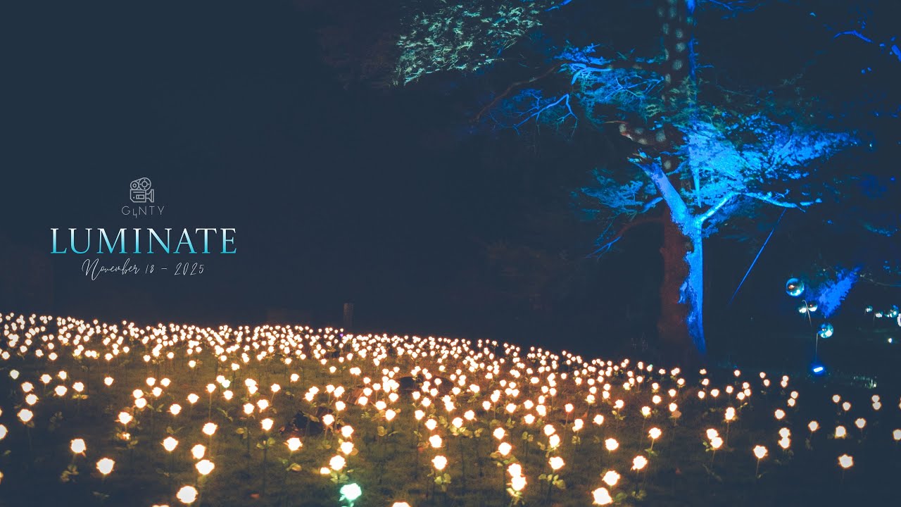 Luminate 2025