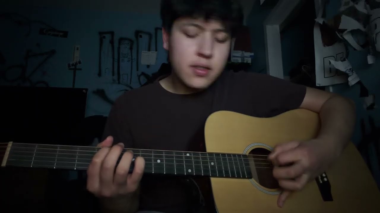 House - Alex g cover