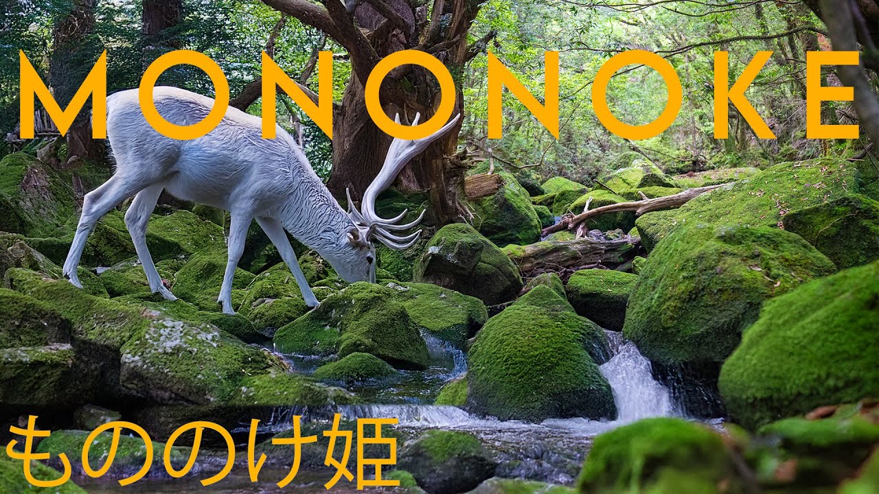 You Won’t Believe: Princess Mononoke Forest is REAL!