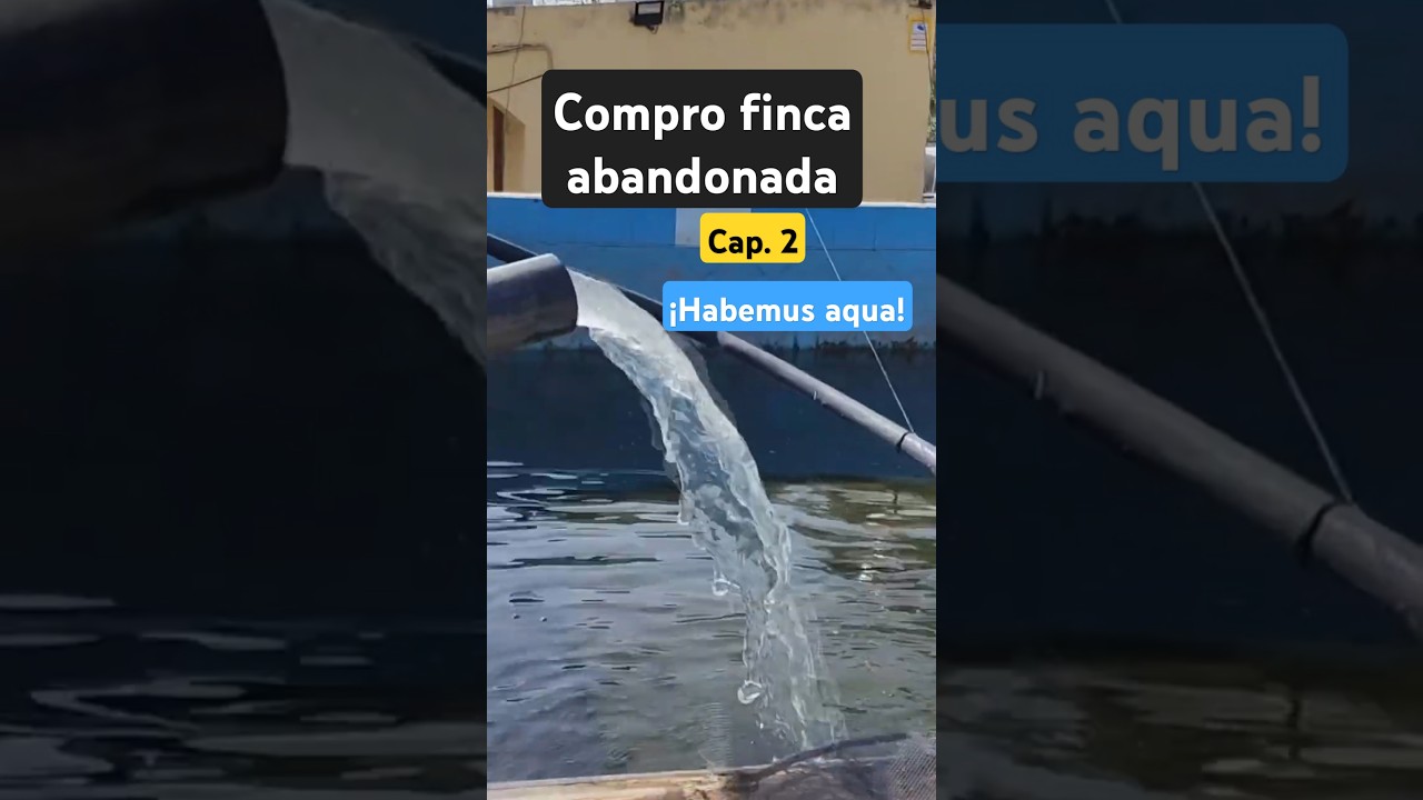 Compro una FINCA ABANDONADA para RESTAURAR de m&aacute;s de 50 a&ntilde;os [Cap. 2] 🏡 #shorts