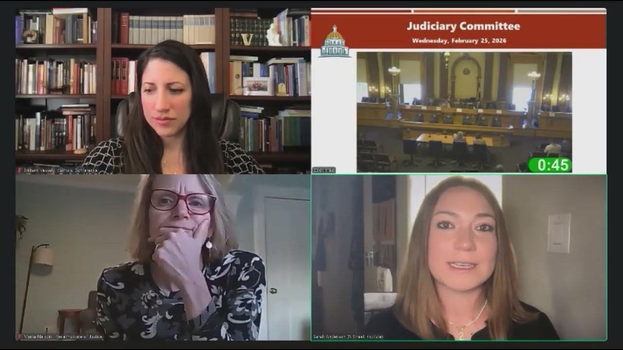 Sarah Anderson's Virtual Testimony In Support of Colorado Senate Bill 26-115..