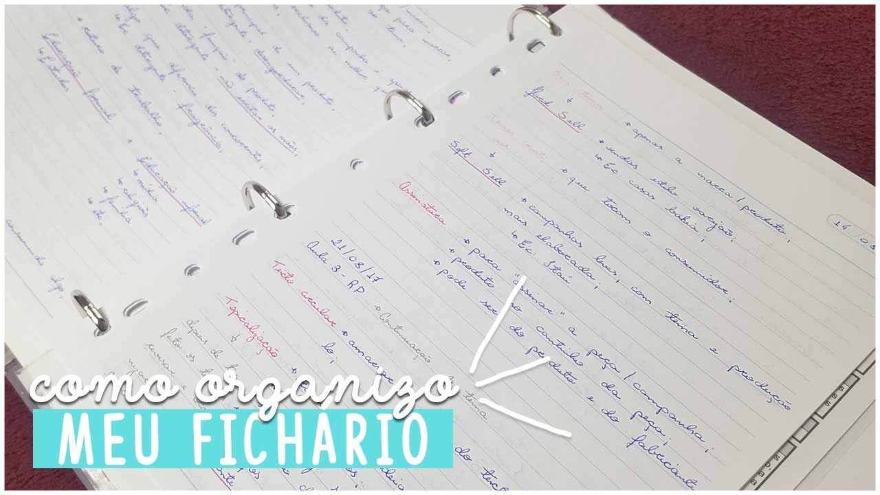 COMO ORGANIZO O MEU FICHÁRIO (FACULDADE)