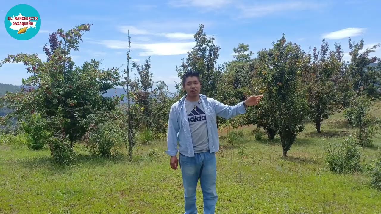 La gran herencia que me dejó mi mamá toñita 🕊