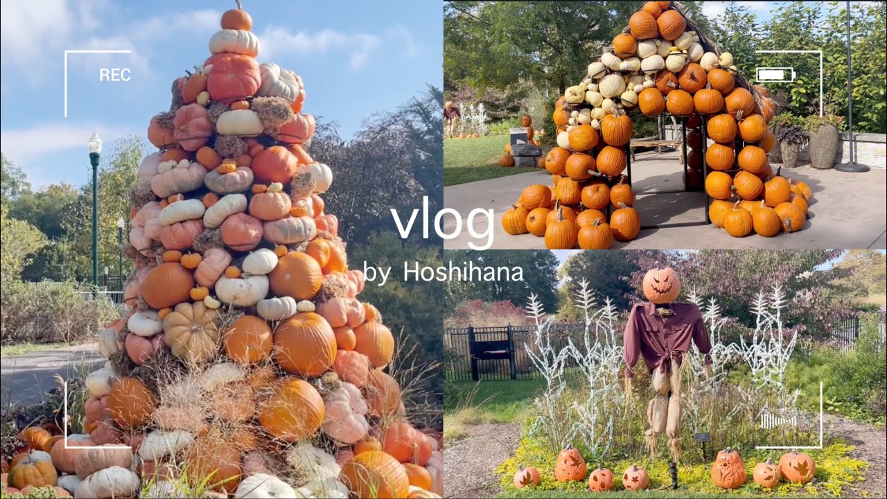 アメリカの植物園(秋ver)がかぼちゃだらけで癒された🎃✨