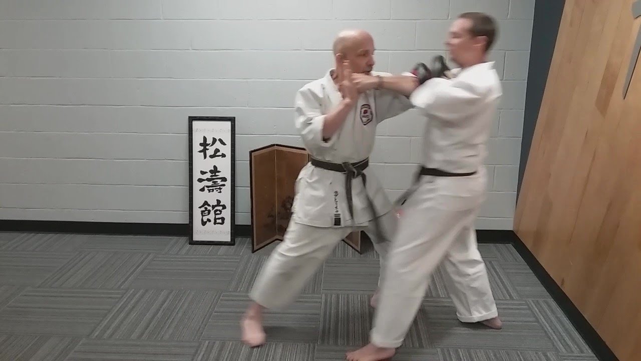 Today's technique   Gedan barai 2/3 (how to do it)
