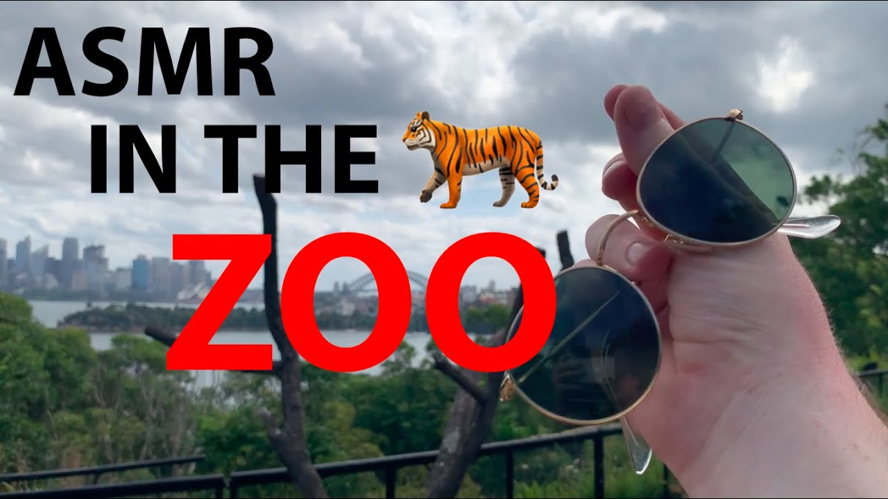 Fast and Aggressive ASMR in the Australian ZOO 🐅