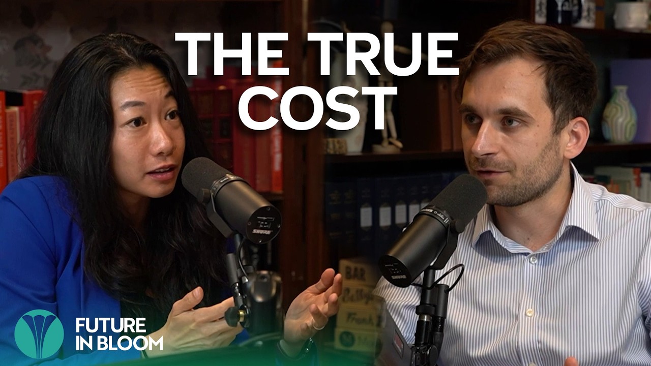Why Tariffs Are Making Clean Energy 3x More Expensive