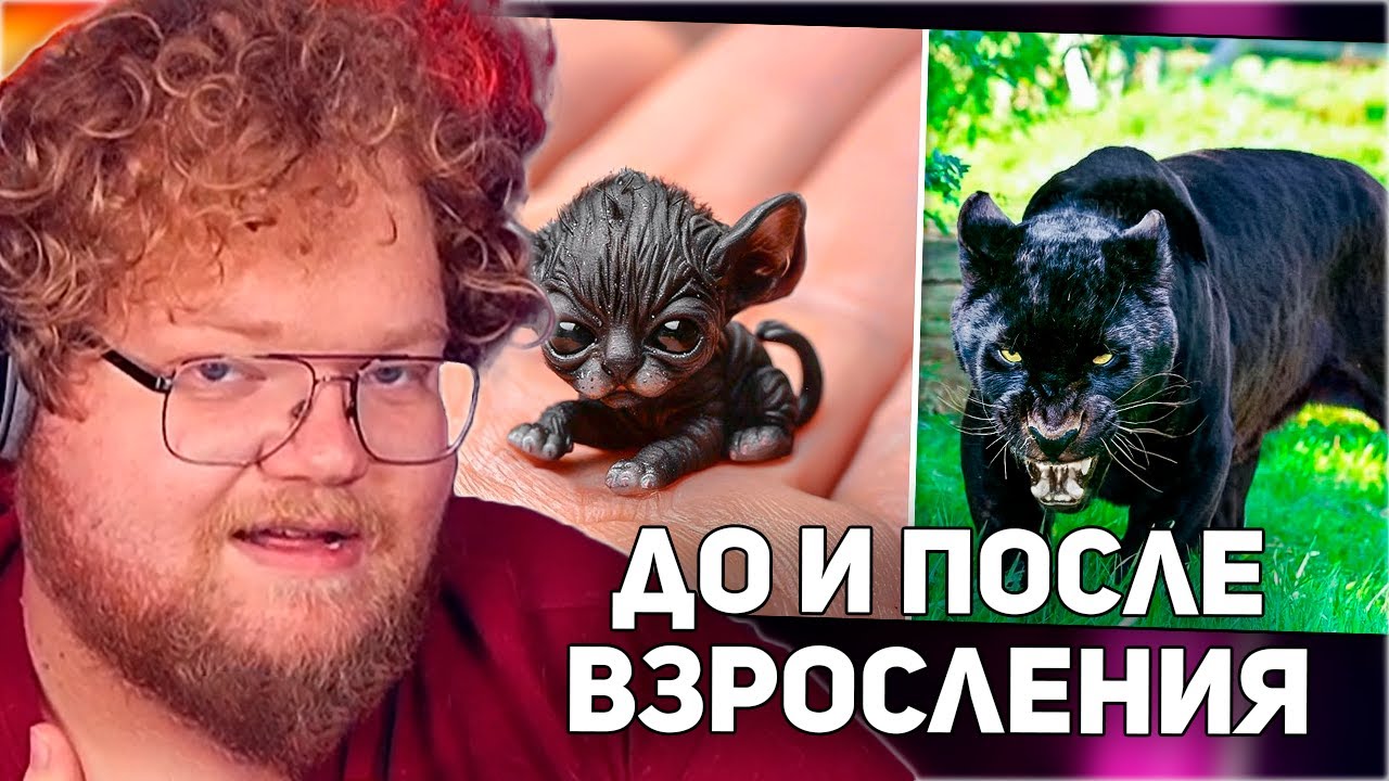 РЕАКЦИЯ T2x2: ДО И ПОСЛЕ ВЗРОСЛЕНИЯ. НЕВЕРОЯТНЫЕ ТРАНСФОРМАЦИИ ЖИВОТНЫХ