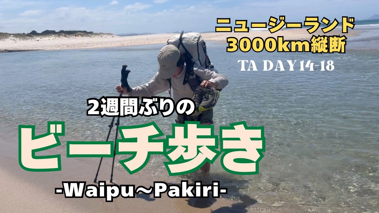 猛暑の中で、2週間ぶりのビーチ歩き！【TA DAY14-18】テアラロア/teararoa/ニュージーランド/ロングトレイル
