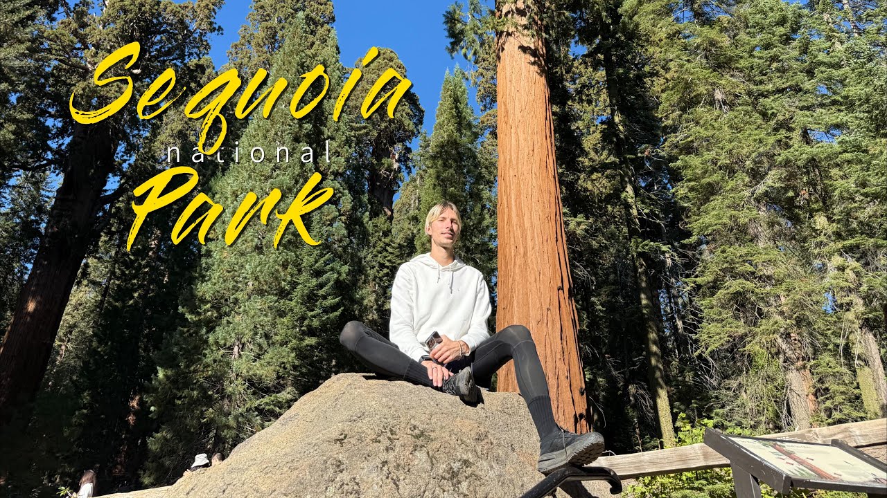 Где живут великаны: Парк Секвой | Among Giants: Exploring Sequoia Park